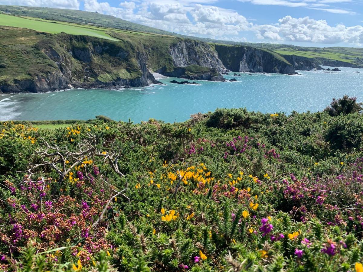 Dylan Thomas Sea View Bed & Breakfast Лаарн Екстериор снимка